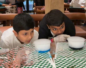 Observation activity